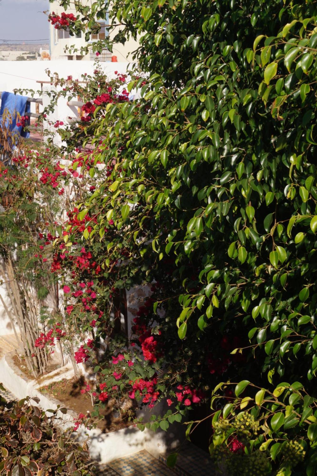 Sidi Kaouki Perla Hotel Ngoại thất bức ảnh